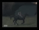 【がんばり実況】二人でワンダと巨像　　part6