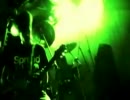 Day Tripper - Stain
