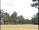 奈良へヨーソロ♪