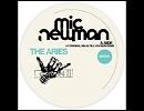 The Aries / Mic Newman