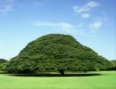 この木 なんの木 木ィィィ原くゥゥゥゥゥゥゥゥン!!を歌ってみた【ちの】