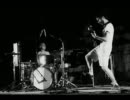 Cheval de frise - Phosphorescence de l'arbre mort