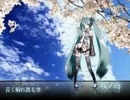【桜舞祭】　『桜ノ雨』 歌ってみた　【エノル】