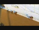 競馬 2011年 UAEダービー出走馬の前走まとめ