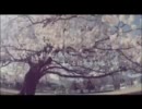 桜色 早希ちゃん  Full ver.