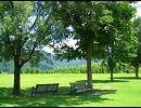 ［オリジナル］ 木陰 short ver.