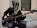 「CITY LIGHTS/andymori」のベースを弾いてみました