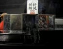 【戦国大戦】ド素人の開封動画～第五弾～【開封動画】