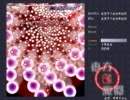 東方紅魔郷 Lunatic 夢符 6.54億(miruku氏 2011/03/27) [5/5]