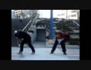【七閃】Bad Apple!!を踊ってみた。【七海 皐月＆閃光】