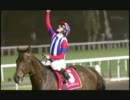 日本馬世界の頂点へ～ヴィクトワールピサ～
