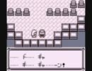 【ポケモン青】虫取り少年がポケモンリーグを目指す実況　その17