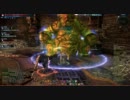 【TERA】 黄金の迷宮　マインクマス討伐 斧視点【50ID】