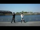 【じーこ】Bad Apple!!　踊ってみた【あんづ】
