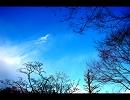 写真　part１