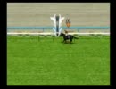 【ダビつく５】競馬界を制圧する旅【実況】（縛りつき）.part64