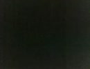 今日の記事から