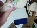 あそべにゃー