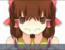 シンメトリーRIMまとめ＋α