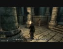 Oblivion　食いしん坊セリアンの旅日記　Part2
