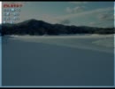 【初実況】ドキドキしながらゾウディアック　Part.11