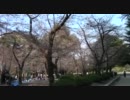 唯たんとドライブin鶴舞公園