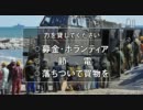 アンチ自衛隊の下でボランティア出来る人大募集