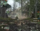 のんびりと　CoD:BOオンライン　プレイ