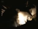 暴走と冷静の零～実況プレイ～弐夜