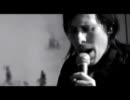 The Disciplines - Best Mistake