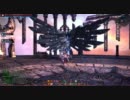 【TERA】司教徒 アカカラー討伐 弓視点【37ID】