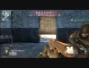 【鳥ポケ〇ンが実況】TDM38 PM63(拡張)+パイソンx2【COD:BO】