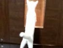 子猫のマロンとミルク　さみしいでしゅ…