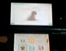 【３DS】ニンテンドッグス３D（荒ぶる犬)