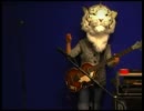 Deerhoof - Rainbow Silhouette of the Milky Rain