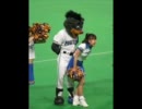 おもしろ動画（おまけ付）