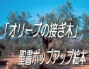 オリーブの接ぎ木