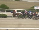 4月5日園田競馬第4レース　納得動画