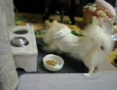おやつと啓太郎