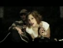 Ash Koley  -  Bugs!