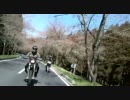 お花見林道ツーリング