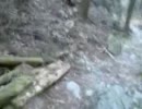 浅間嶺からのダウンヒル