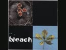 Bleach　Seeing