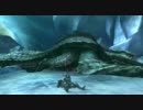 【MHP3】ウカムルバス　片手剣ソロ
