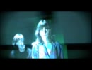 The Fiery Furnaces - Duplexes Of The Dead (Official Video)
