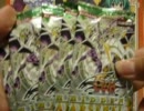 開封動画☆遊戯王《眼鏡の窓から》part6-HA3とか