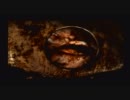 ホラー苦手だけど≪Silent Hill 2≫プレイしてみた　そのじゅういち