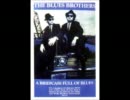 ブルースブラザーズ/ The Old Landmark- James Brown