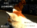 【バナナ琵琶湖】トエト【歌ってみた・演奏してみた】