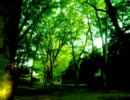 【オリジナル曲】未来は回りながら前に進む
